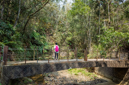 traveling woman walk on the bridge in forest at Nantou, Taiwan