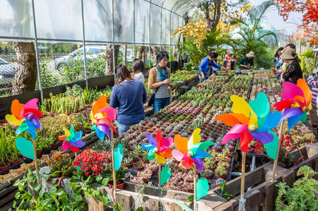 Nantou, Taiwan - March 2nd, 2019: Succulent Secret place store, famous shop sell succulent and cactusのeditorial素材