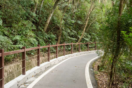 small road by trees with nobody in the daytimeの写真素材