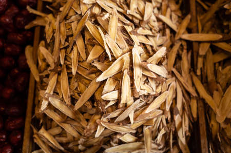 traditional Chinese medicine, Astragali Radixの写真素材