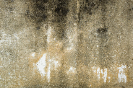 mildewed wall background, grunge texture of dirty cement wall