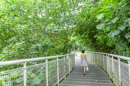 Asian woman walk at a bridge in a forestの写真素材