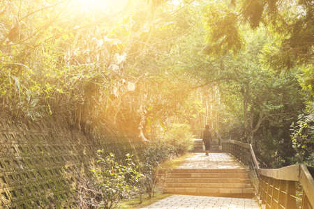 Asian woman traveling and hiking at the outdoorの写真素材