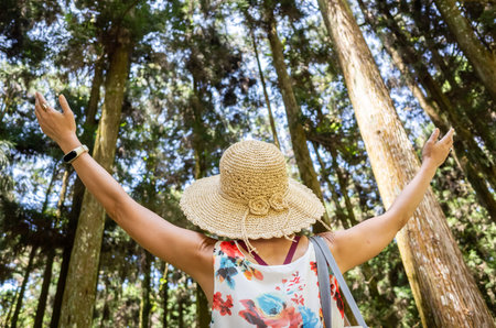 traveling Asian woman hiking in the forest at Xitou, Nantou, Taiwan