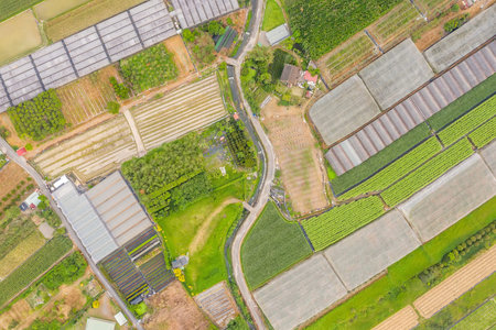 aerial view of Puli township with farm and field