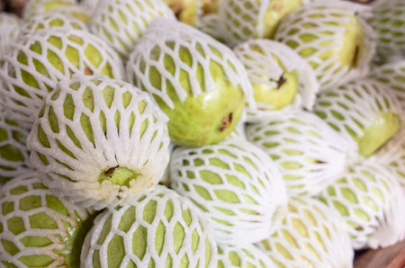 fresh guava fruit stack at the marketplace