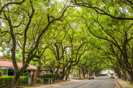 Nantou, Taiwan - June 25th, 2019: street scenery with old house and trees at Zhongxing New Village, Nantou, Taiwanのeditorial素材