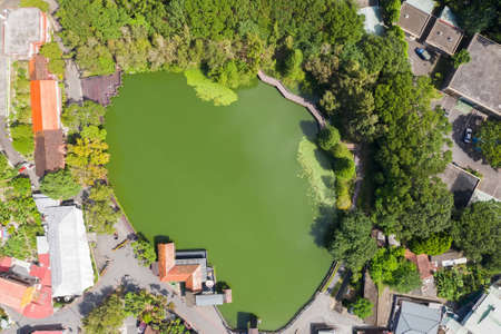 Checheng, Taiwan - September 27th, 2019: famous attraction of Checheng village with timber pond at Nantou county, Taiwan, Asiaのeditorial素材