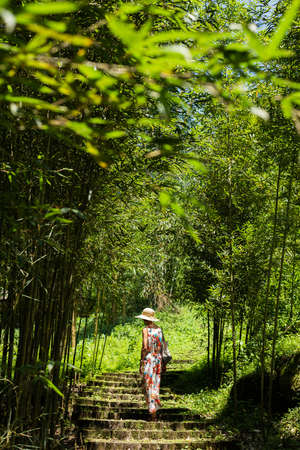 traveling Asian woman hiking in the forest at Xitou, Nantou, Taiwanの写真素材