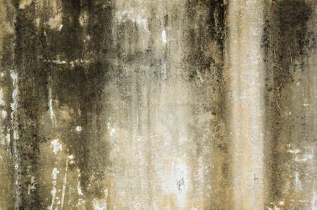 mildewed wall background, grunge texture of dirty cement wall