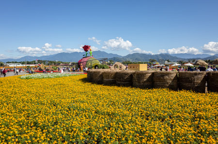 Xinshe, Taiwan - November 28th, 2019: tourists and flowers at Xinshe flower festival, Taichung, Taiwanのeditorial素材