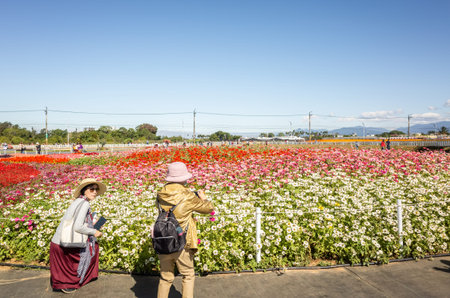 Xinshe, Taiwan - November 28th, 2019: tourists and flowers at Xinshe flower festival, Taichung, Taiwanのeditorial素材
