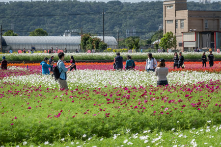 Daxi, Taiwan - November 15th, 2019: tourists walk at the garden in Daxi event of Taoyuan Flower...