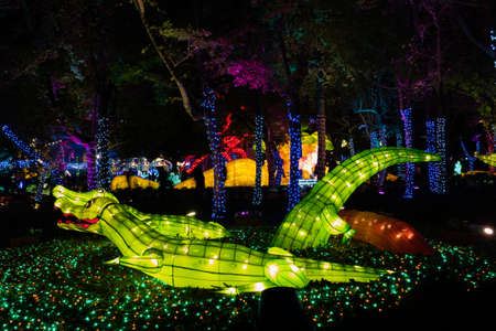 Taichung City, Taiwan - Feb 19rd, 2020: lantern festival with tourists and lanterns at Houli Horse Ranch in Taichung City, Taiwan, Asiaのeditorial素材