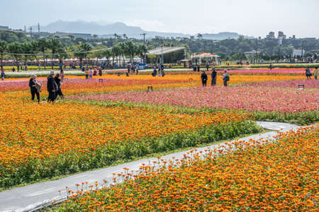 Daxi, Taiwan - November 15th, 2019: tourists walk at the garden in Daxi event of Taoyuan Flower Festival in Taoyuan, Taiwan, Asiaのeditorial素材