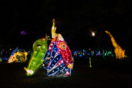 Taichung City, Taiwan - Feb 19rd, 2020: lantern festival with tourists and lanterns at Houli Horse Ranch in Taichung City, Taiwan, Asiaのeditorial素材