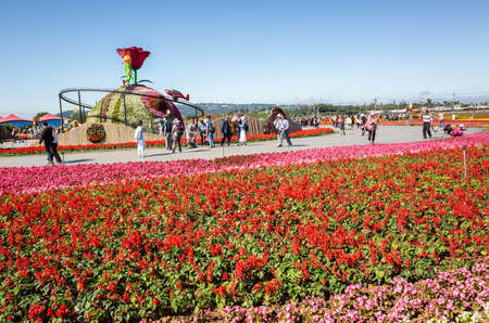 Xinshe, Taiwan - November 28th, 2019: tourists and flowers at Xinshe flower festival, Taichung, Taiwanのeditorial素材