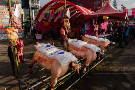 Nantou, Taiwan - December 21th, 2019: Shuili taoism carnival and sacrifice, be hold at every 12 years at Shuili Township, Nantou County, Taiwanのeditorial素材