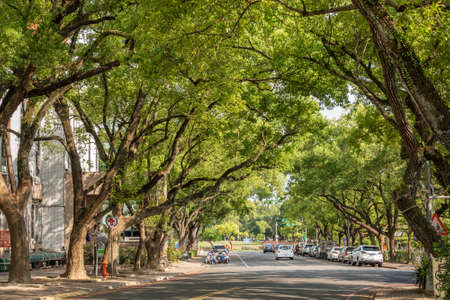 Nantou, Taiwan - April 9th, 2020: street scenery with old house and trees at Zhongxing New Village, Nantou, Taiwanのeditorial素材