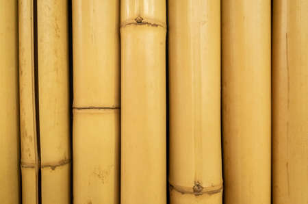 yellow bamboo craft background with copyspace and nobodyの写真素材