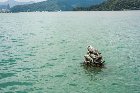 Nantou, Taiwan - September 11th, 2019: Nine Frog Statue stacks in Sun Moon Lake at Taiwan, Asiaのeditorial素材