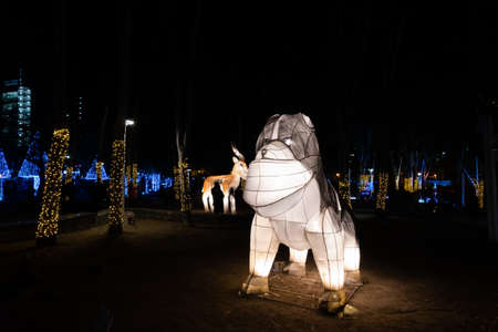 Taichung City, Taiwan - Feb 23rd, 2020: lantern festival with tourists and lanterns at Wen-Xin Forest Park in Taichung City, Taiwan, Asiaのeditorial素材