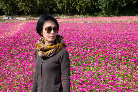 modern Asian woman walking at the colorful cosmo flowers farm