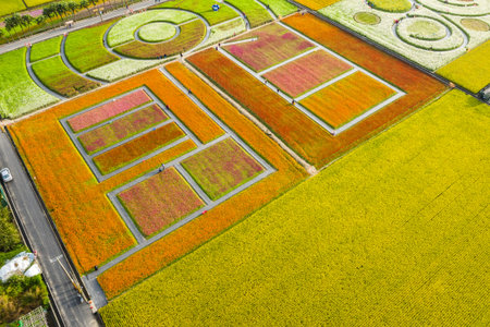 Daxi, Taiwan - November 14th, 2019: aerial view of garden in Daxi event of Taoyuan Flower Festival...