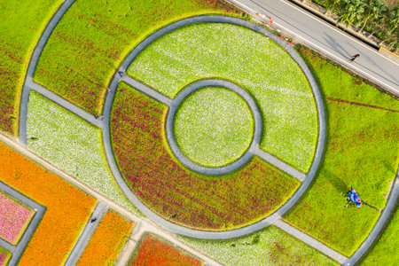 Daxi, Taiwan-November 14th, 2019: aerial view of garden in Daxi event of Taoyuan Flower Festival in...