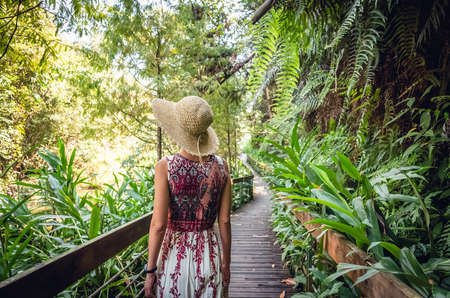 rear view of traveling Asian woman walk at the lane in the forestの写真素材