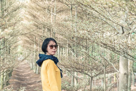 closeup portrait of modern Asian mature woman at the forestの写真素材