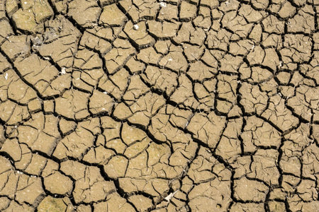 background of dried crack land during drought with good texture