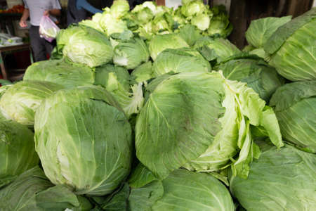 Cabbages on the table in a traditional marketplace in Taiwanの写真素材