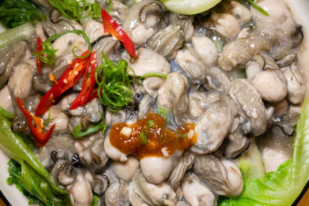 homemade blanched oysters on a plate at homeの写真素材