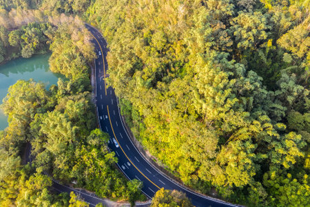 aerial view of a road with forest in Sun Moon Lake at Nantou, Taiwanの写真素材