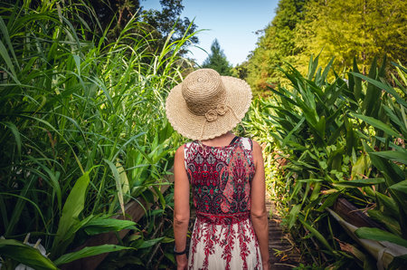 rear view of traveling Asian woman walk at the lane in the forestの写真素材