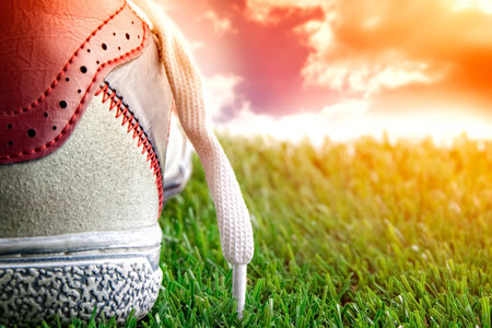Sport shoe waiting at sunsetの写真素材