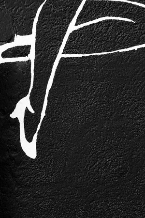 Black legs on wallのeditorial素材