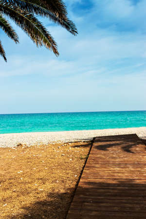 Wooden walkway on the beach with palm trees. Vertical image.の写真素材