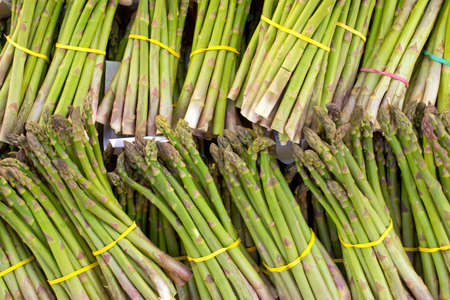 Green asparagusの写真素材