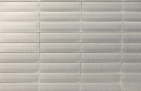 Metallic building facade