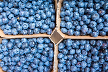 Fresh blueberries for sale at a weekly marketの写真素材