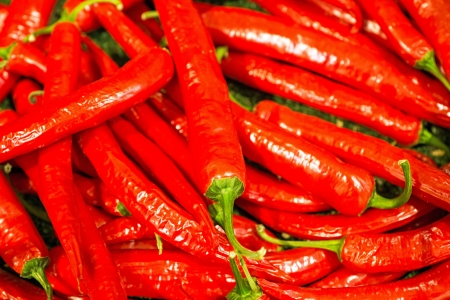 Red chili peppersの写真素材