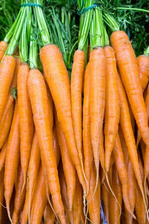 Carrots at the groceryの写真素材