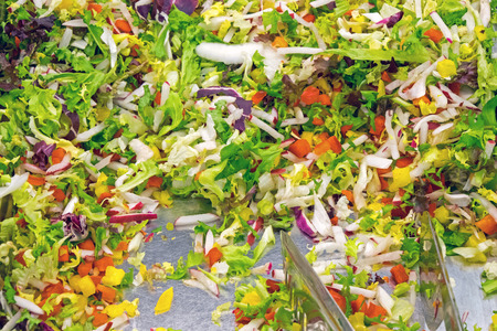 Salad at a buffetの写真素材