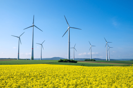 Rapeseed and windwheelsの写真素材