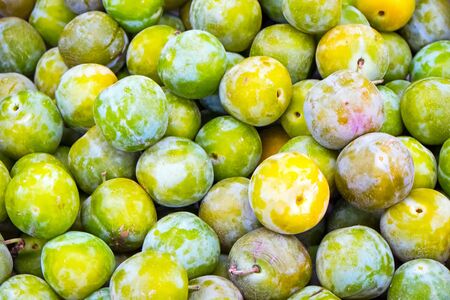 Greengage plums for sale at a marketの写真素材