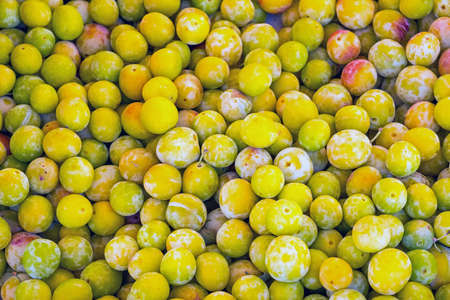 A pile of yellow plums for sale at a marketの写真素材