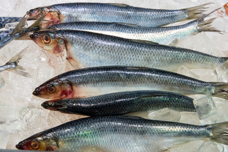 Fresh herring for sale at a fish marketの写真素材