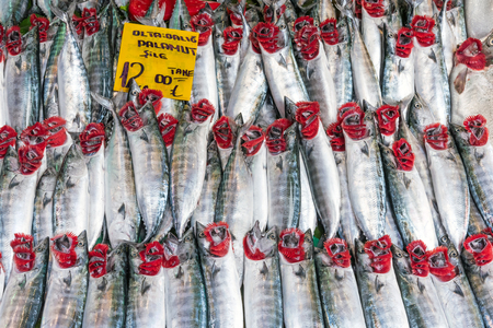 Fresh atlantic bonito for sale at a market in Istanbulの写真素材